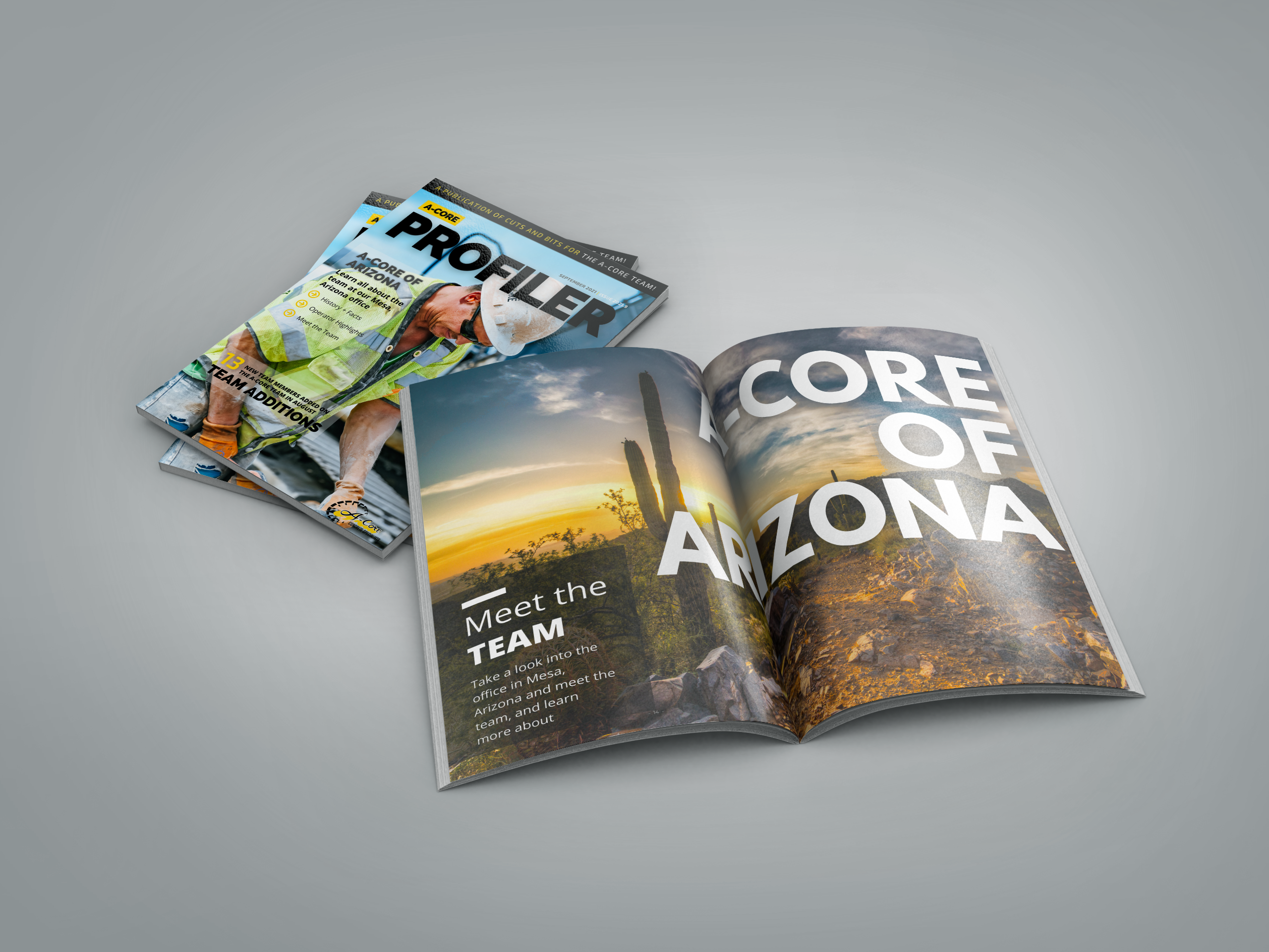 http://44.241.186.104/wp-content/uploads/2021/09/9.21-Profiler-Image-Mockup.png